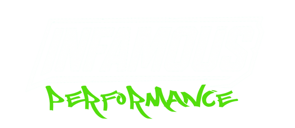 Infamous Performance